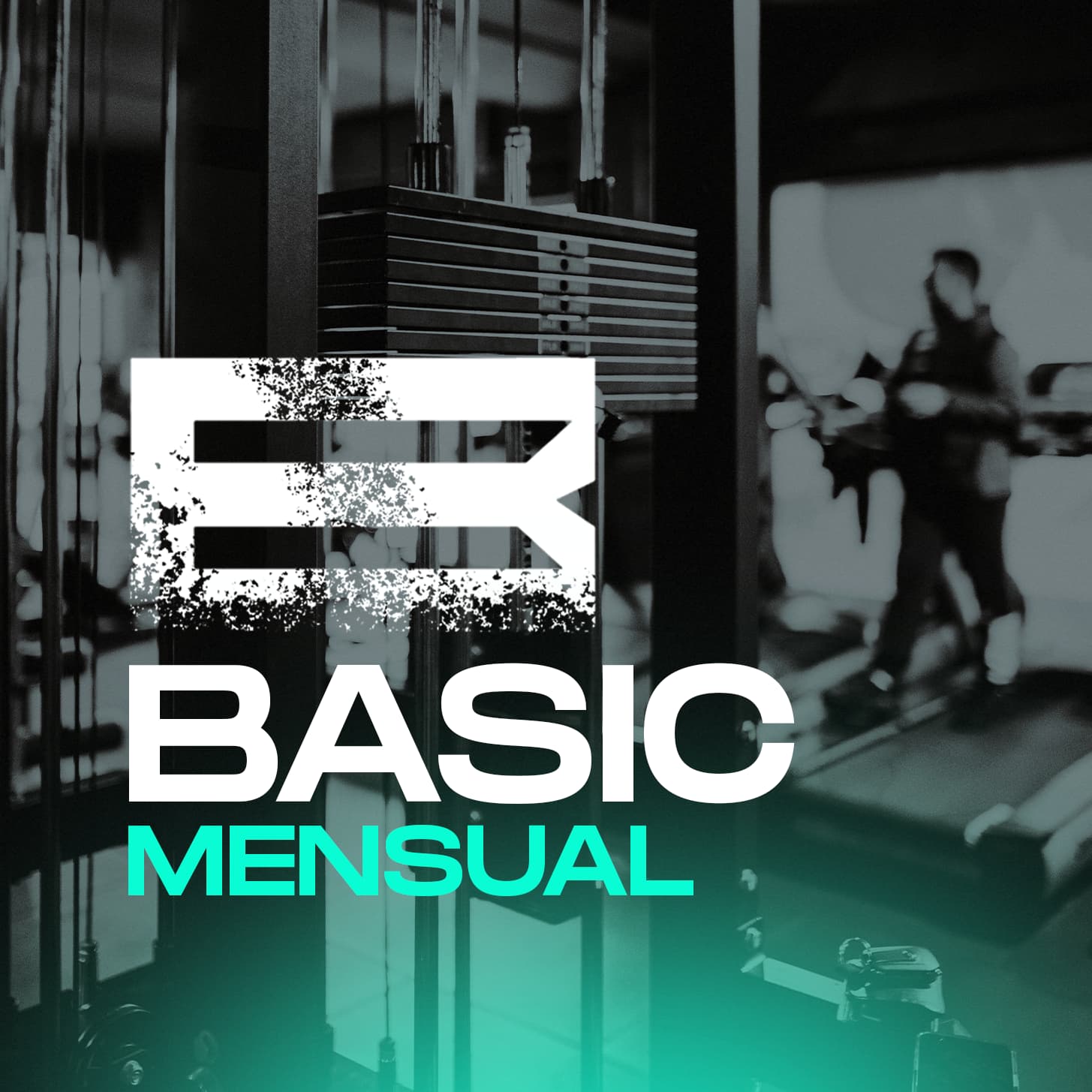 Imagen de la membresia Basic mensual del gimnasio Bunkerfitclub en Orihuela.